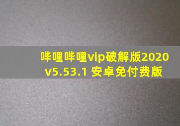 哔哩哔哩vip破解版2020 v5.53.1 安卓免付费版